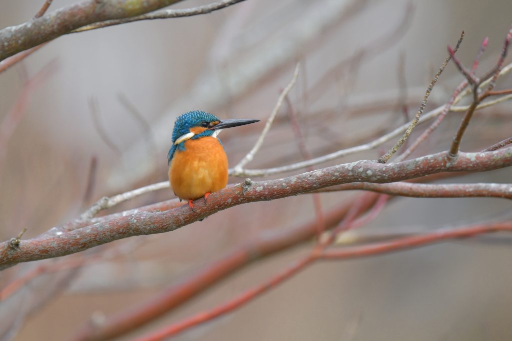 神奈川県横浜市の村上電業自己紹介：前編01-02
