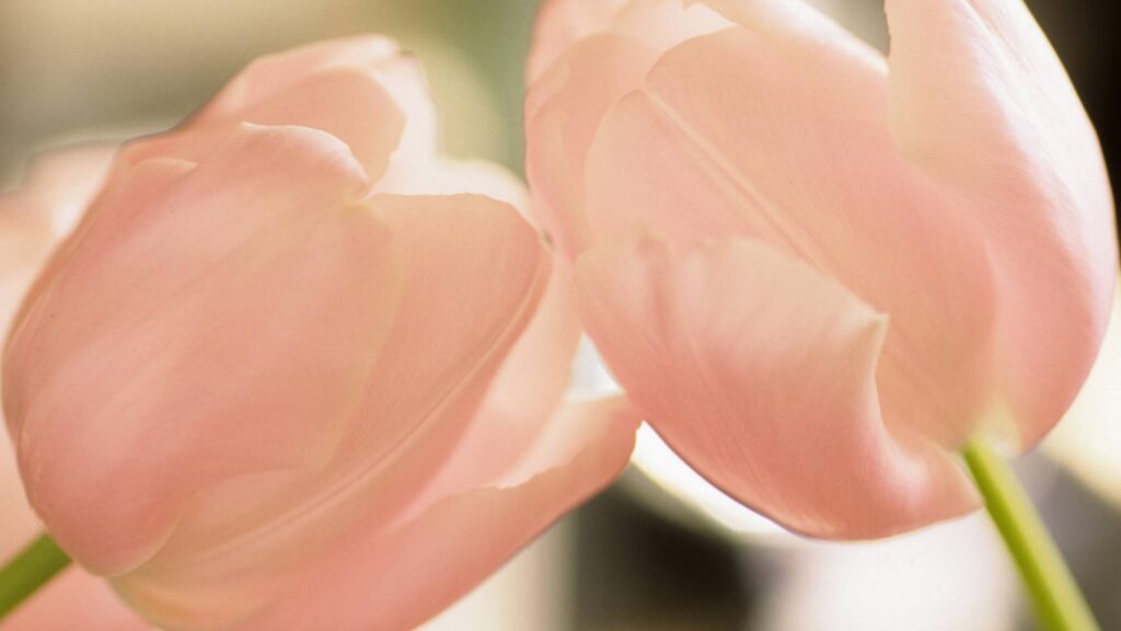 村上電業「職人」と「干渉」の関係03