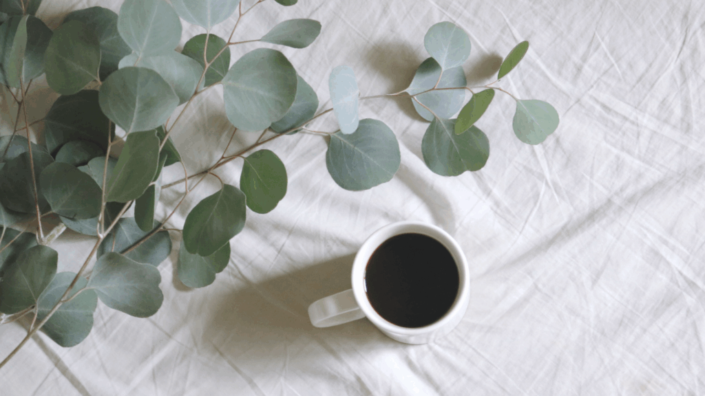 樹脂に色がある理由①03